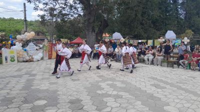 98 - ОУ Отец Паисий - Батово, Добрич